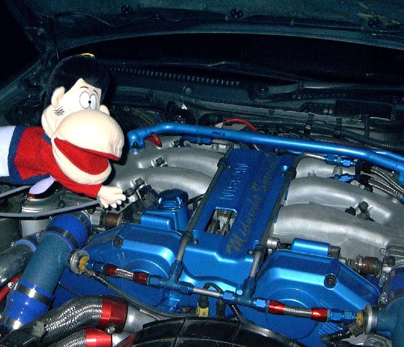 This picture is for quick loading of picture.